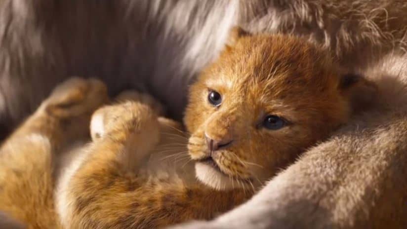 Record di emozioni al cinema per “Il Re Leone”