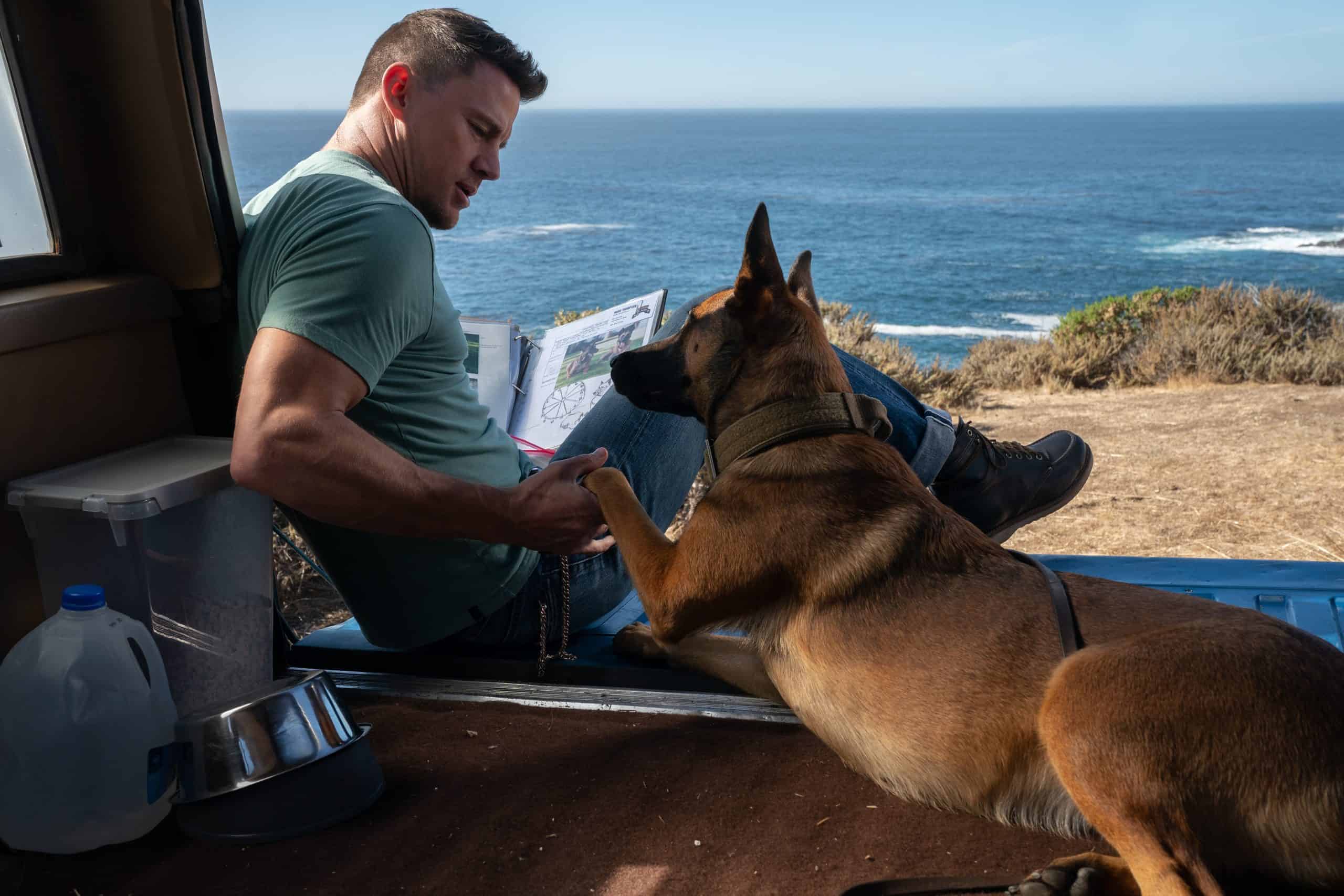 Io e Lul&ugrave; al cinema